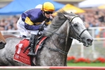 Cox Plate The Perfect Fit For Glass Harmonium