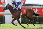 Buffering May Miss BTC Cup