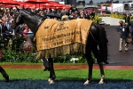 Americain Confirmed For 2011 Melbourne Cup