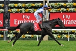 Americain On Track To Defend Melbourne Cup Title