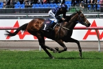 Jewel in the Crown – Kavanagh all smile after 2011 Wakeful Stakes