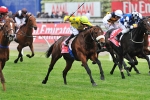 Dunaden fifty fifty to run in Melbourne Cup