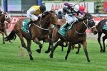 Walter Cup tip and Foxstar may back up