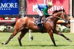 Pierro and All Too Hard contest a highlight on Derby Day