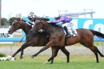 No Looking Back for Shinn in Magic Millions Guineas