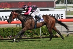 Gold Coast Guineas Captured By Military