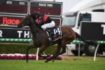 Away Game to take on older horses in 2020 Manikato Stakes
