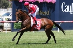 Catchy and Limestone battle for favouritisim in Fillies Blue Diamond Prelude
