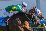Instrumentalist has several hurdles to overcome in Queensland Cup