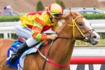 Thousand Guineas start on the line for Miracles Of Life