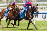 Duric has high hopes for Nayeli in Blue Diamond Stakes