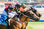 Shamal Wind To Oakleigh Plate After W.J. Adams Stakes Win