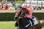 Black Caviar Show Could Go On