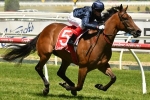 Formality set to continue Sydney campaign in Furious Stakes