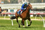 Luke Nolen in tune with Jukebox for Blue Diamond Stakes