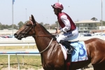 Browne looking for trouble free run in capacity Blue Diamond Stakes Field