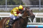 Newitt declares Lankan Rupee the one to beat in Oakleigh Plate