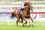 Blue Diamond favourite Miracles Of LIfe under siege