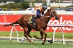 Nature Strip books his ticket for Doomben 10,000 with brilliant trial win