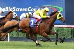Yogi lumped with 60kg top weight for 2019 Queensland Cup