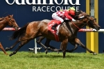 Craig Williams to stick with Catchy for Blue Diamond Stakes