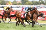 Hayes Happy To Have Mahuta In Australian Guineas