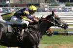 Wet track to suit chautauqua in T J Smith Stakes