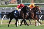 Seven Rivals For Dissident In Futurity Stakes Field