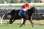 2015 Futurity Stakes Tips: Tough To Bet Against Dissident