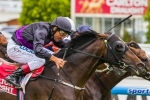 Fiorente can improve after Peter Young Stakes win