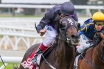 Melbourne Cup Champion Fiorente Retired From Racing
