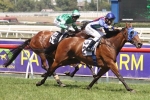 Kavanagh sets his sights on Cox Plate for Super Cool