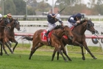 Australian Cup possible for Homesman after Mornington Cup Prelude Win