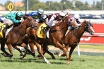 2000m of Australian Cup to suit Humidor
