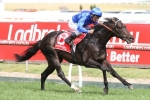 1600m of Doncaster Mile to suit Bow Creek