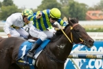 Miller Confident Fillies Have Edge In WA Guineas