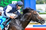 King Hayes to Have Crack at Emirates Stakes