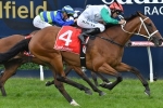 A fresh Life Less Ordinary can cause an upset in the 2019 Doncaster Mile