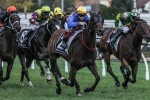 Amorino In Great Order For 2015 Sir Rupert Clarke Stakes