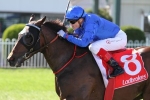 O’Shea giving both his South Australia Derby runners strong chances