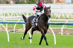 Sir John Monash Stakes Nominations Include Lord Of The Sky