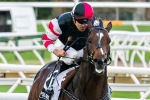 Lord Of The Sky to take on Lankan Rupee in the Spring