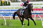 Laing to change tactics with Lord Of The Sky at Moonee Valley