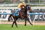 Sino Eagle Chasing Maiden Group Win In Aurie’s Star Handicap