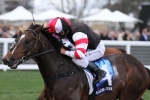 Lord Of The Sky to step up to 1400m in P.B. Lawrence Stakes