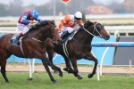 Star Rolling on Cox Plate mission after P.B. Lawrence Stakes win