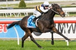 2013 Mackinnon Stakes A Great Opportunity For Pakal