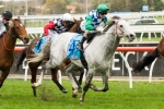 Boss to miss Cox Plate ride on Puissance De Lune