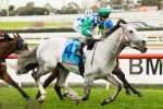 Puissance De Lune To Take Improvement From P.B. Lawrence Stakes