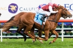 Williams picks up the ride on Safeguard in Danehill Stakes